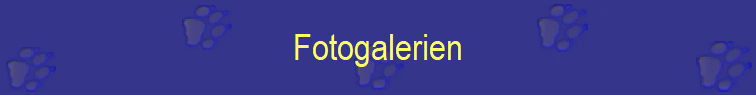 Fotogalerien
