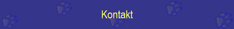 Kontakt