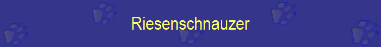 Riesenschnauzer